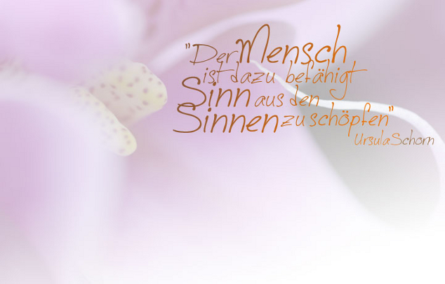 Zitat Der Mensch ist dazu bef&auml;higt Sinn aus den Sinnen zu sch&ouml;pfen